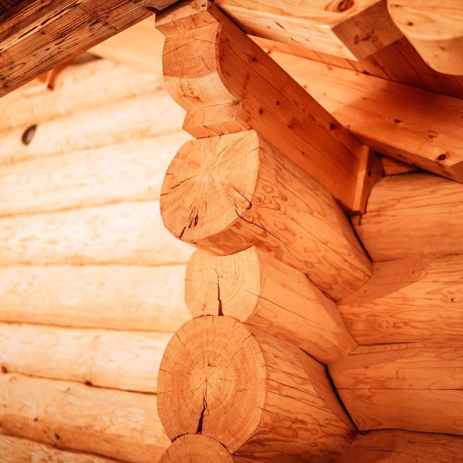 Im Weidach Superior Chalets Leutasch Dış mekan fotoğraf